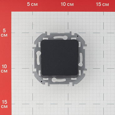 Выключатель Legrand Inspiria одноклавишный встраиваемый антрацит (673603)