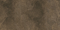 Про Стоун Керамогранит коричневый обрезной DD503920R 60x119,5