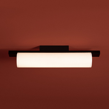 Потолочный светильник Freya FR5625CL-L20B