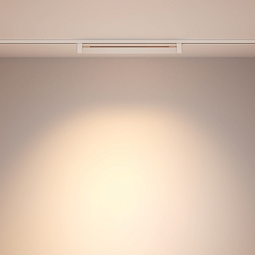 Трековый светильник Technical TR010-1-20W3K-M-W