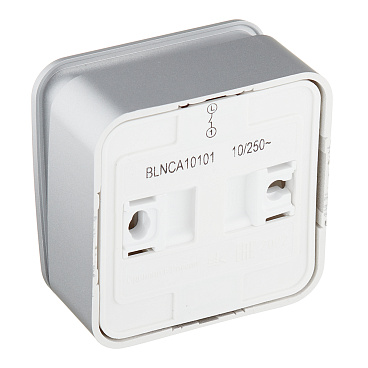Выключатель Systeme Electric Blanca одноклавишный накладной алюминий с самовозвратом (BLNCA101013)