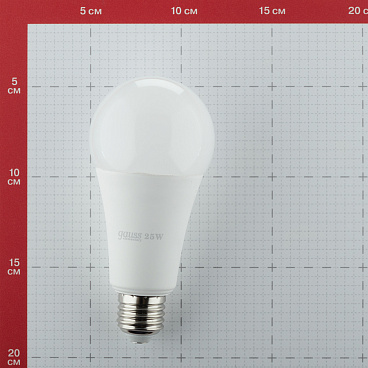 Лампа светодиодная Gauss E27 6500К 25 Вт 2150 Лм 180-240 В груша A67/A70 матовая