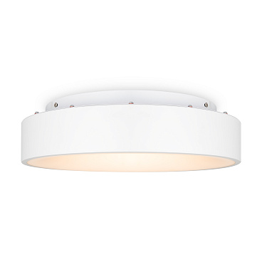 Потолочный светильник Freya FR6118CL-L45W