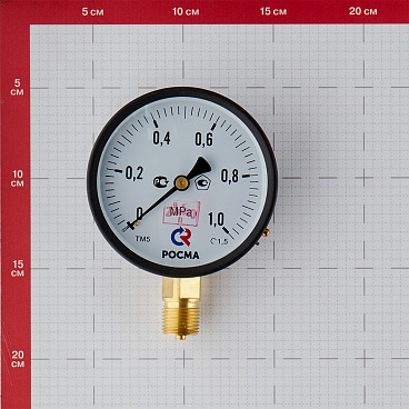 Манометр Росма радиальный 1/2 НР(ш) 10 бар d100 мм (6836)