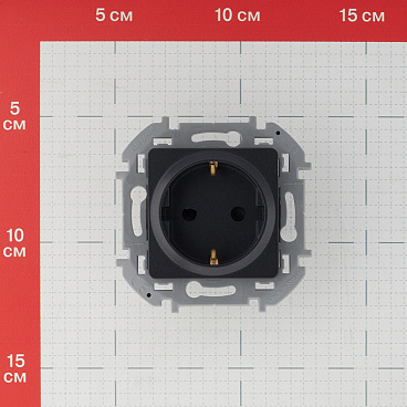Розетка Legrand Inspiria встраиваемая антрацит со шторками (673733)