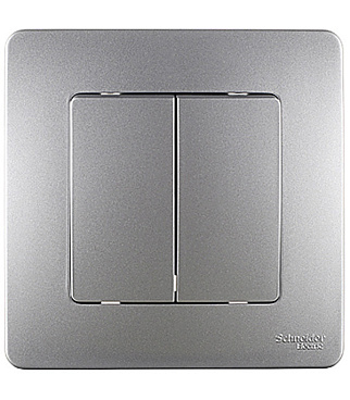 Выключатель Systeme Electric Blanca двухклавишный встраиваемый алюминий (BLNVS010503)