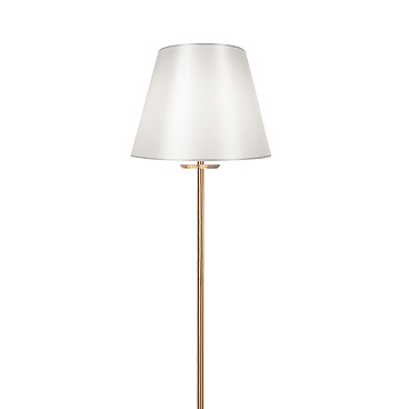 Напольный светильник (торшер) Freya FR1006FL-01G
