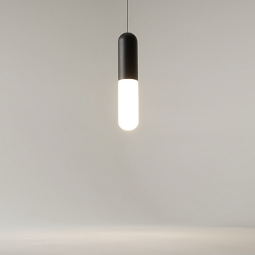 Подвесной светильник Maytoni P101PL-L300-12W3K-B