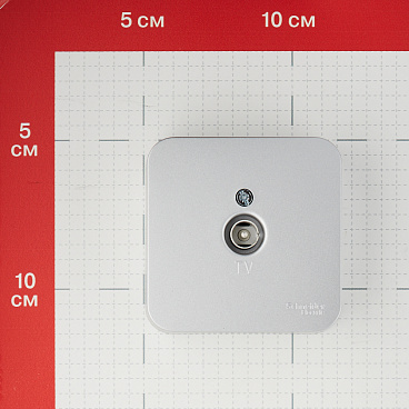 Розетка телевизионная Systeme Electric Blanca накладная алюминий (BLNTA000013)