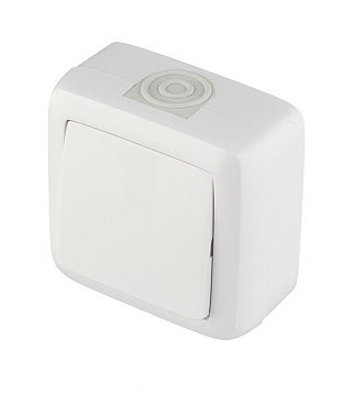 Переключатель Hegel Alfa одноклавишный накладной белый (ВА10-261)