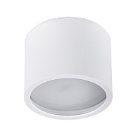 Светильник накладной Arte Lamp Intercrus GX53 15 Вт 1 кв.м белый IP44 (A5543PL-1WH)