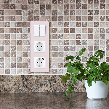 Розетка Legrand Inspiria встраиваемая белая с заземлением USB-A/ Type-C (673770)