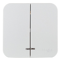 Выключатель Systeme Electric Blanca двухклавишный накладной алюминий с подсветкой (BLNVA105113)