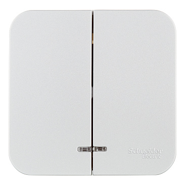 Выключатель Systeme Electric Blanca двухклавишный накладной алюминий с подсветкой (BLNVA105113)