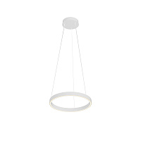 Подвесной светильник Maytoni MOD058PL-L22WK