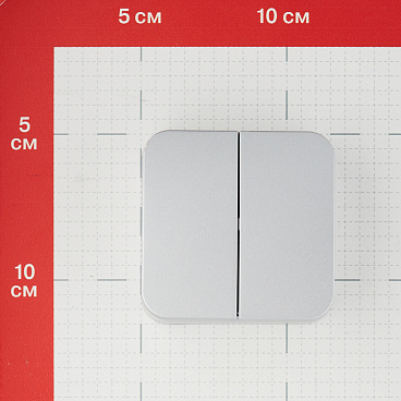 Выключатель Systeme Electric Blanca двухклавишный накладной алюминий (BLNVA105013)