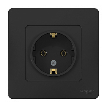 Розетка Systeme Electric Blanca встраиваемая антрацит (BLNRS001016)