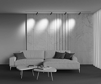Трековый светильник Technical TR212-4-12WTW-DD2-Z-B