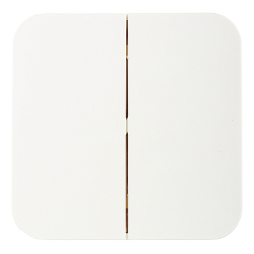 Выключатель Systeme Electric Blanca двухклавишный накладной молочный (BLNVA105012)