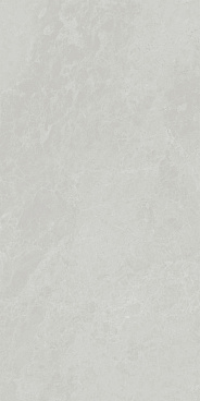 Монте Тиберио Плитка настенная серый глянцевый обрезной 48010R 40x80