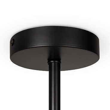 Потолочный светильник Freya FR5376CL-06B