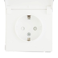 Розетка Systeme Electric ArtGallery встраиваемая белая со шторками с крышкой (GAL000146)