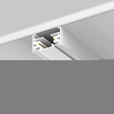 Комплектующие для трековой системы Technical TRA001DO-1W