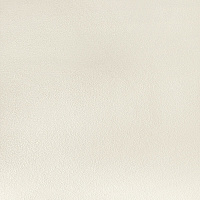 Обои компакт-винил на флизелиновой основе Elysium Фокс фон Е203733 (1,06х10,05 м)