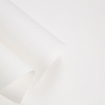 Обои под покраску вспененный винил на флизелиновой основе фактурные HomeColor Colorist 411-01 (1,06х25 м) плотность 113 г/кв.м