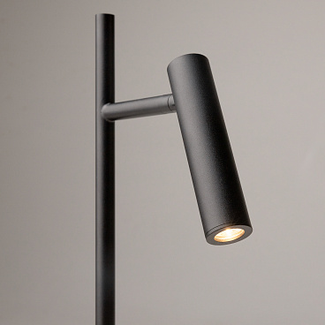 Напольный светильник (торшер) Maytoni Z010FL-L8B3K