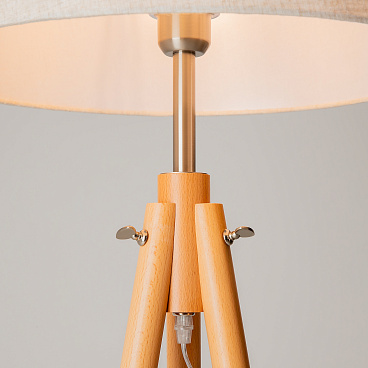 Напольный светильник (торшер) Maytoni Z177-FL-01-BR