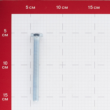 Болт оцинкованный M10x100 мм DIN 933 10,9 (2 шт.)