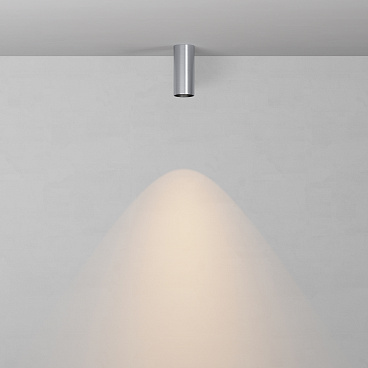 Потолочный светильник Technical C056CL-L12W2.7K-W-PT