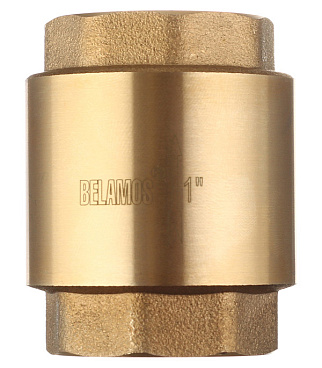 Клапан обратный 1 ВР(г) х 1 ВР(г) (FVC1)