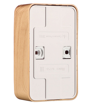 Розетка Systeme Electric Blanca накладная ясень (BLNRA000215)