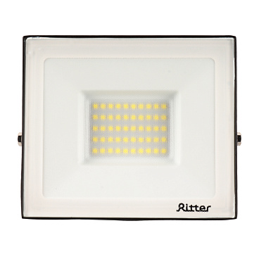 Прожектор светодиодный Ritter Profi 6500K 50 Вт IP65 черный