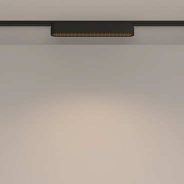 Трековый светильник Technical TR084-1-12W3K-B