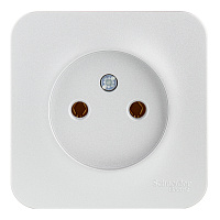 Розетка Systeme Electric Blanca накладная алюминий (BLNRA000113)