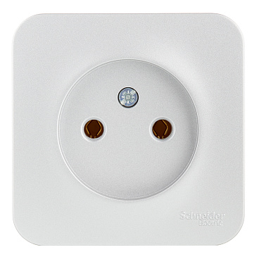 Розетка Systeme Electric Blanca накладная алюминий (BLNRA000113)