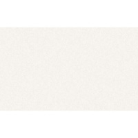 Обои компакт-винил на флизелиновой основе Erismann Monica 60939-02 (1,06х10,05 м)