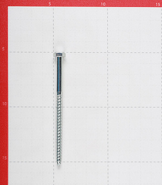 Болт сантехнический 6х100 мм DIN 571 оцинкованный (2 шт.)