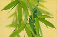 OLL Декор 1 20х30