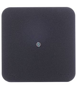 Коробка распределительная Systeme Electric Blanca накладная антрацит (BLNRK000016)