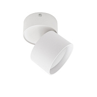 Спот IN HOME НПБ GX53 24 Вт белый IP20 (4690612046303)