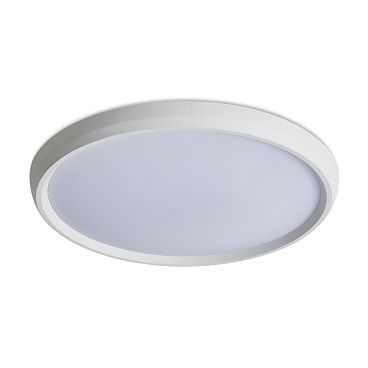 Потолочный светильник Freya FR6211CL-L24W