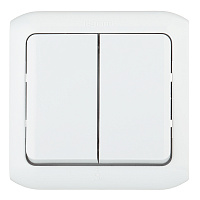 Выключатель Legrand Quteo двухклавишный накладной серый (782332)