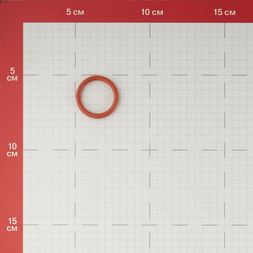 Кольцо уплотнительное FPM Valtec 22 мм