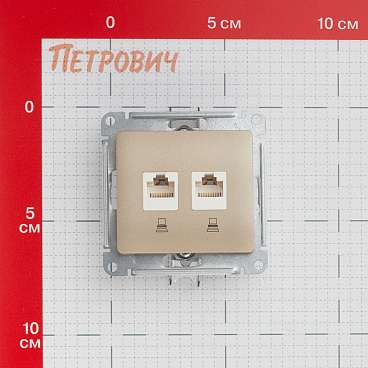 Розетка компьютерная Systeme Electric Glossa встраиваемая титан 2хRJ45 (GSL000485KK)