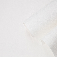 Обои под покраску вспененный винил на флизелиновой основе фактурные Palitra Home Colorist 426-01 (1,06х25 м) плотность 105 г/кв.м