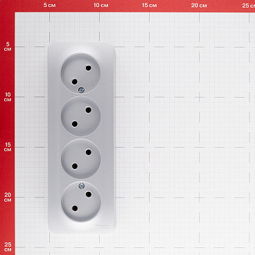 Розетка Systeme Electric Blanca накладная алюминий (BLNRA000413)